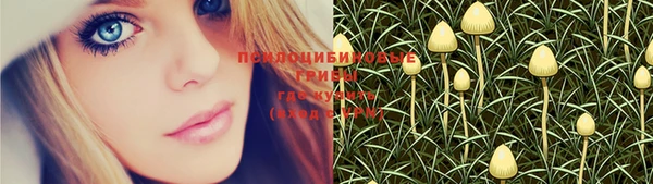 мдпв Тихорецк